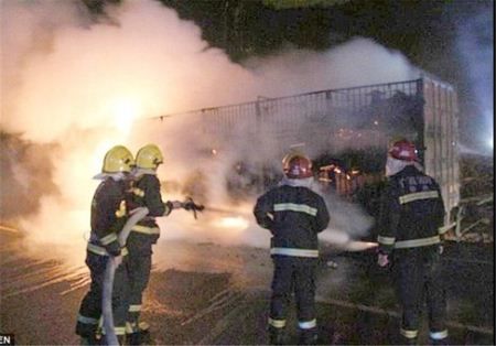 فاجعه اسفبار سوختن 300 بز زنده در آتش سوزی (عکس) فاجعه اسفبار سوختن 300 بز زنده در آتش سوزی (عکس)