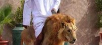 شیر و یوزپلنگ حیوانات خانگی عرب های اماراتی (عکس)