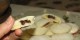 طرز تهیه شیرینی مغزدار شکلاتی برای عید نوروز
