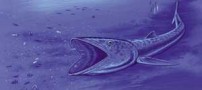 عجیب ترین ماهی 92 میلیون ساله کشف شد (عکس)