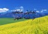 احادیثی درباره خیرخواهی خدا نسبت به بنده گانش