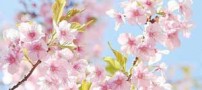 متن های زیبا و خواندنی زندگی زیباست!