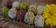 طرز تهیه شیرینی گردویی برای عید نوروز