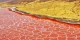 دریاچه های عجیب و مرموز در جهان (عکس)