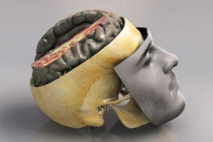 چگونه بفهمیم گرم مزاج هستیم