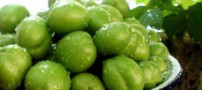 برای جلوگیری از نفخ گوجه سبز با گلپر بخورید