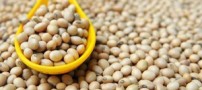 از خواص سویا چه می دانید؟
