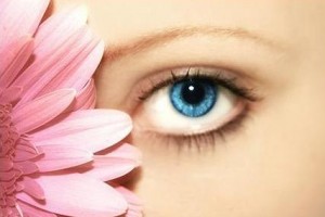 عکس هایی از برگ ریزان یک درخت زیبای 1400 ساله