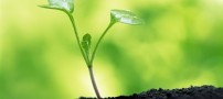 داستان جالب توریستی در گوشه ای از دنیا