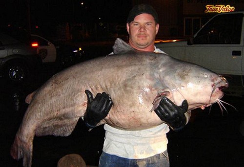 تصاویری دیدنی از صید بزرگترین ماهی های جهان