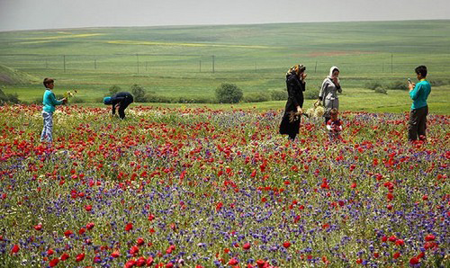 عکس هایی از طبیعت اردبیل در خردادماه