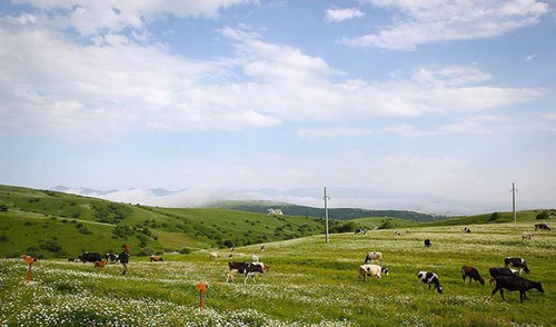 عکس هایی از طبیعت اردبیل در خردادماه