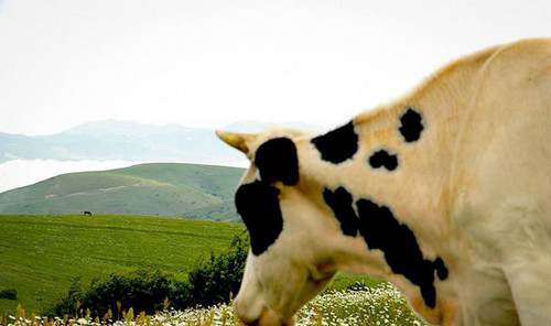عکس هایی از طبیعت اردبیل در خردادماه