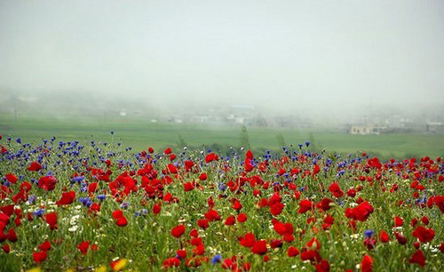 عکس هایی از طبیعت اردبیل در خردادماه