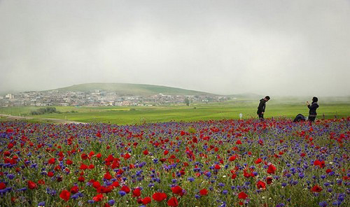 عکس هایی از طبیعت اردبیل در خردادماه