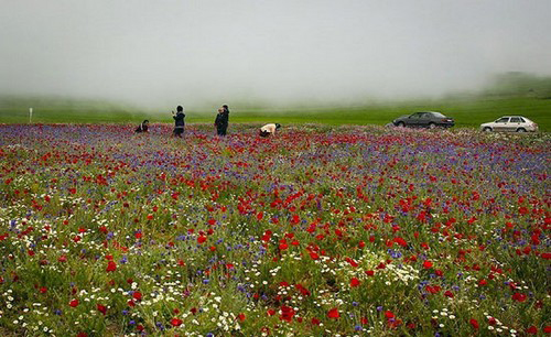عکس هایی از طبیعت اردبیل در خردادماه