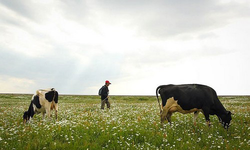 عکس هایی از طبیعت اردبیل در خردادماه