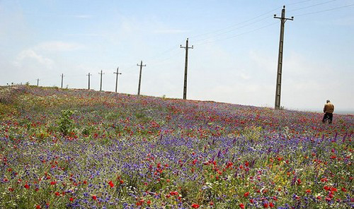 عکس هایی از طبیعت اردبیل در خردادماه