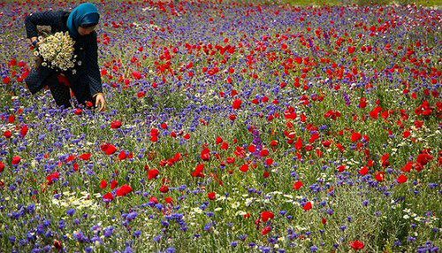عکس هایی از طبیعت اردبیل در خردادماه