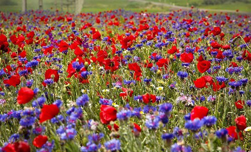 عکس هایی از طبیعت اردبیل در خردادماه