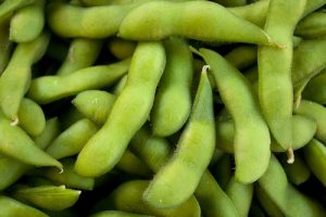 این افراد با خوردن باقلا کم خون می شوند!!