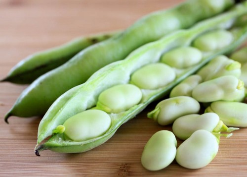 این افراد با خوردن باقلا کم خون می شوند!! این افراد با خوردن باقلا کم خون می شوند!!