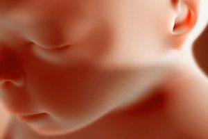 نکاتی درباره ی احکام رحم اجاره‌ای