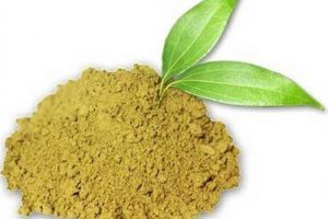 از خواص گیاه حنا چه می دانید؟