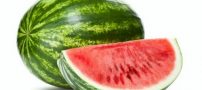 هندوانه به کاهش وزن کمک می کند!!