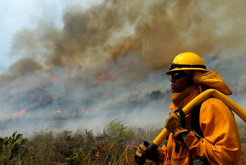 عکس هایی دردناک از آتش گرفتن جنگل‌ های کالیفرنیا