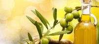 نکاتی در رابطه با نحوه ی مصرف روغن زیتون