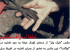 لیلا اوتادی با انتشار این عکس همه را متعجب کرد