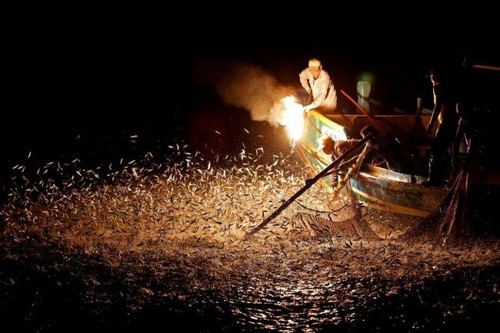 عکس های باورنکردنی از ماهیگیری در شب با آتش