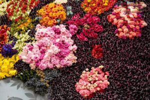 عکس های دیدنی از ساخت بزرگترین تابلو گل های طبیعی