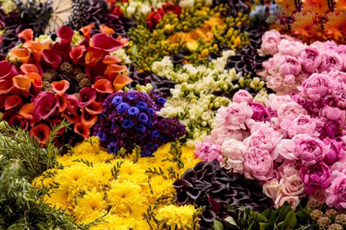 عکس های دیدنی از ساخت بزرگترین تابلو گل های طبیعی عکس های دیدنی از ساخت بزرگترین تابلو گل های طبیعی