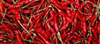 با فلفل قرمز به جنگ چاقی بروید!!