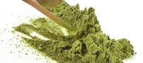 از خواص گیاه حنا چه می دانید؟!