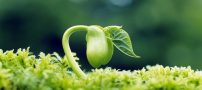 جملات و متن های خواندنی جدید
