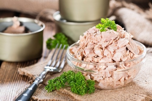 از فواید تن ماهی چه می دانید؟! از فواید تن ماهی چه می دانید؟!