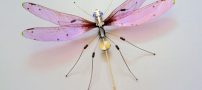 عکس های جالب از حشرات الکتریکی جاسوس