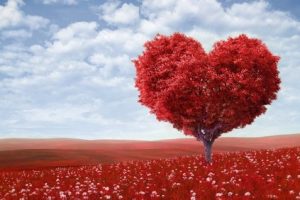 شعر بسیار زیبای عشق در لحظه پدید می آید