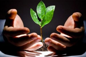 اس ام اس فلسفی سری چهارم