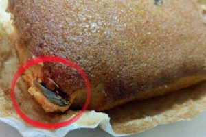 پیدا شدن سوسک پخته شده در کیک های ایرانی (عکس)