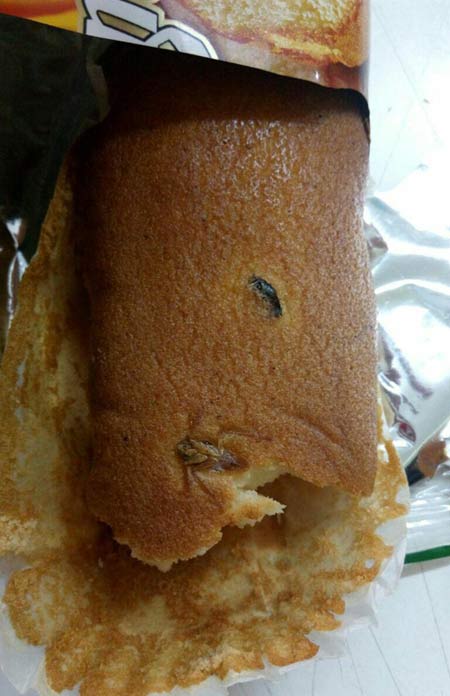 پیدا شدن سوسک پخته شده در کیک های ایرانی (عکس)
