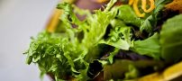 طرز تهیه سالاد بدون سس خوشمزه