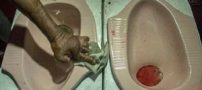 باورنکردنی و عجیب از سرو غذا در کاسه توالت (عکس)