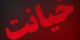 ازدواج مادرزن و داماد پس از 2 سال رابطه نامشروع (عکس)
