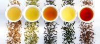 چای مناسب با هر گروه خونی را بشناسید!!
