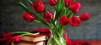 جدیدترین اس ام اس فلسفی