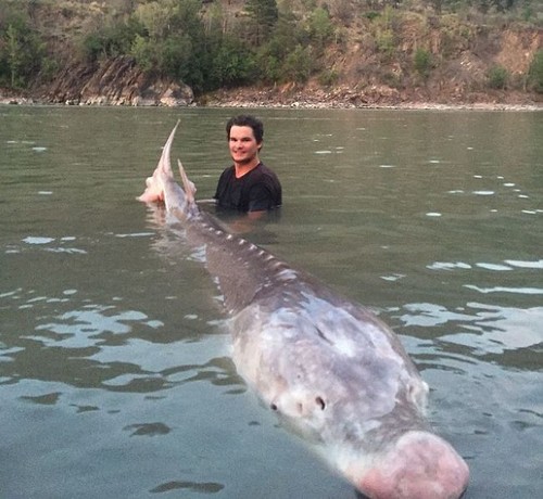 صید کمیاب ترین ماهی دنیا توسط پسر 19 ساله (عکس)